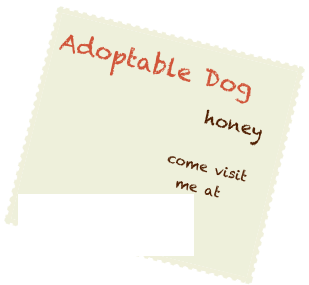 Adoptable Dog
                          honey  
                  
                   come visit  
                     me at  


www.geaugahumane.org