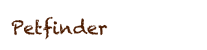 Petfinder